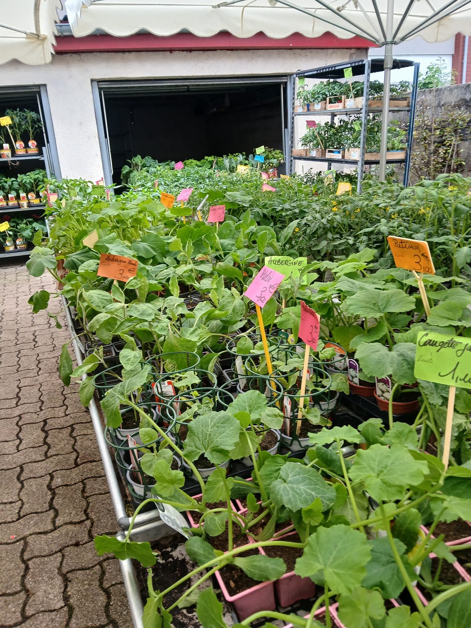 Engrais et produits phytosanitaires naturels
